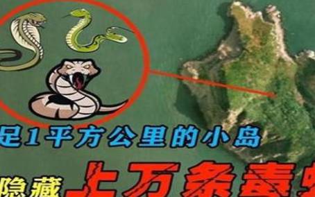 生肖蛇最招人讨厌的缺点 生肖蛇最招人讨厌的缺点