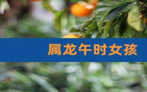 冬天出生的属龙人命运分析 冬天出生的属龙人命运分析