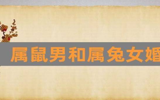 生肖男兔和生肖女鸡的爱情 生肖男兔和生肖女鸡的爱情