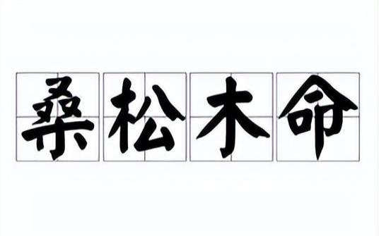 张盛舒2016年5月生肖鼠运势 张盛舒2016年5月生肖鼠运势