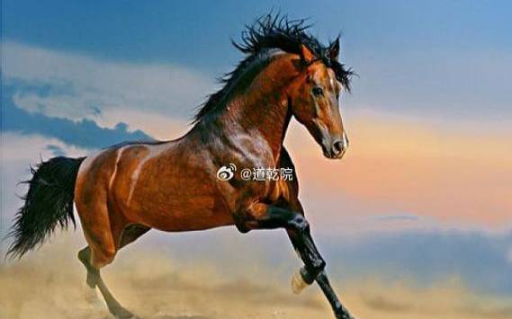属马的男生有啥优点你知道吗 属马的男生有啥优点你知道吗