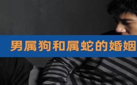 生肖男猴和生肖女狗的爱情 生肖男猴和生肖女狗的爱情