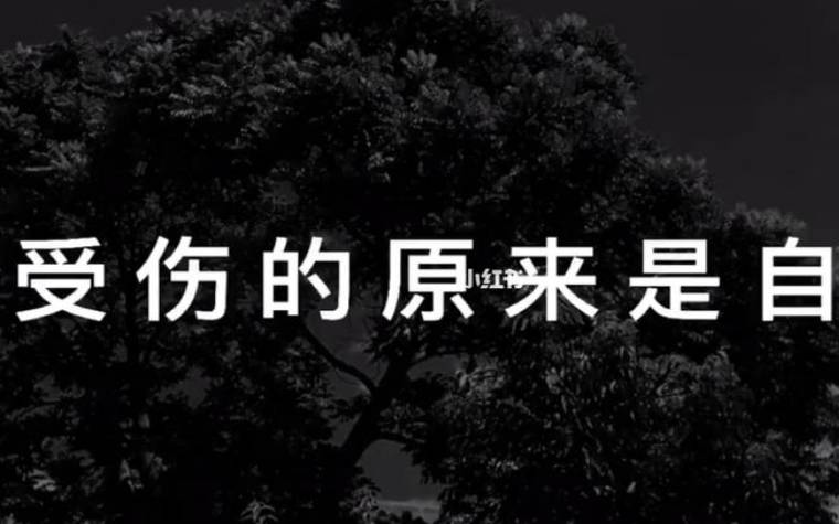 给12星座什么样的爱会让Ta受伤