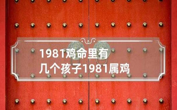 1981年属鸡的是什么命,命运怎么样 1981年属鸡的是什么命,命运怎么样