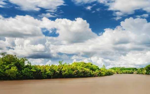 梦见书库 梦见书库