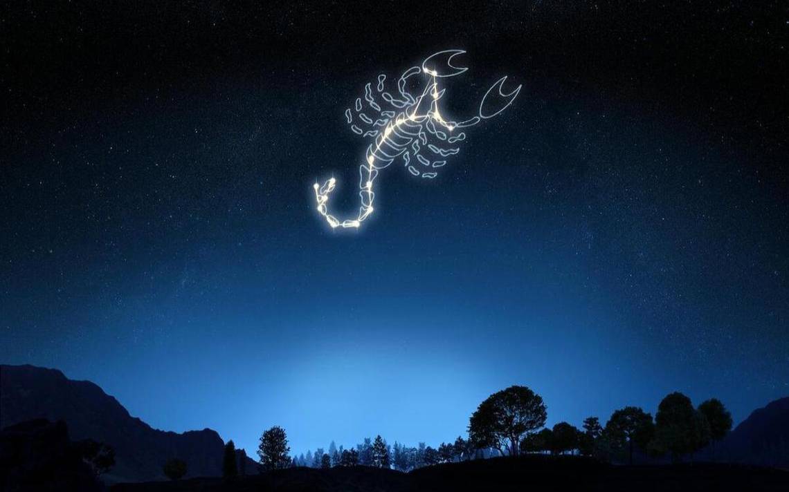 属鸡摩羯座2024年运势 属鸡摩羯座2024年运势