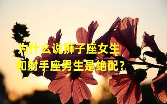 狮子座女生和什么座最配男生