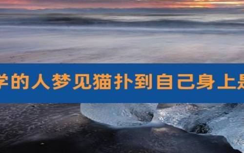 梦见接触 梦见接触