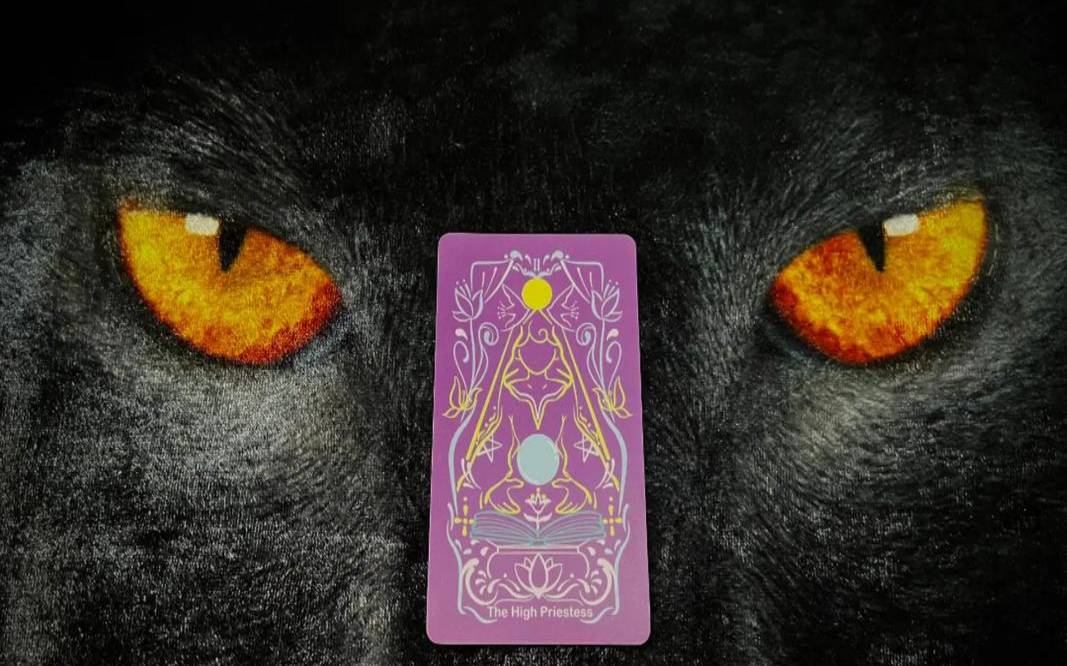 事业星币8逆位,星币8逆位事业 事业星币8逆位,星币8逆位事业