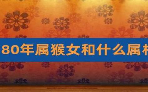 属猴男最佳婚配属相，生肖猴男的最佳伴侣