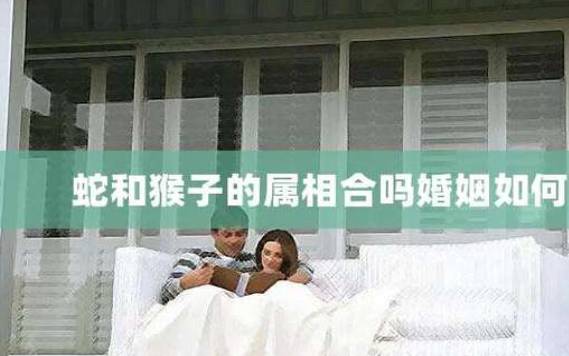 属相6合婚姻难找吗 属相6合婚姻难找吗