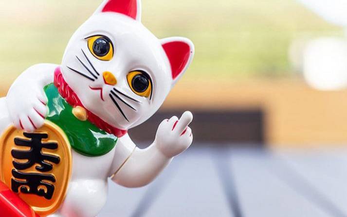 猫和什么属相相克注定不能养 猫和什么属相相克注定不能养