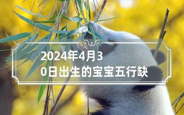 2024年最好的生辰八字 2024年最好的生辰八字