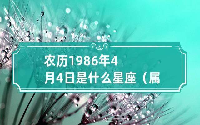 属虎金牛座2024年运势 属虎金牛座2024年运势