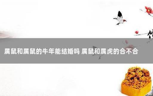 属鼠和属虎的婚配好不好