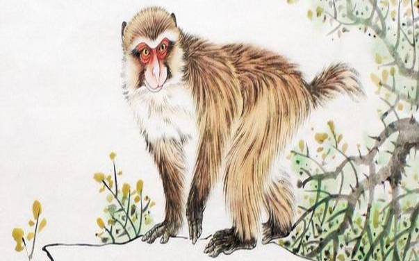 2025属猴的运势和财运