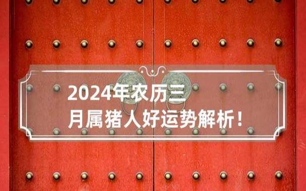 属猪人2024年10月运势