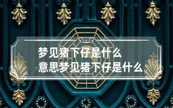 梦见猪在洗澡,周公解梦之梦到猪在洗澡 梦见猪在洗澡,周公解梦之梦到猪在洗澡