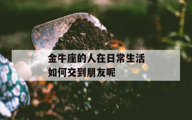 金牛座别样的内心世界 金牛座别样的内心世界