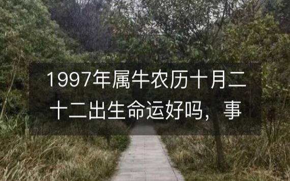 1997年属啥生肖,97年属牛人的命运如何 1997年属啥生肖,97年属牛人的命运如何