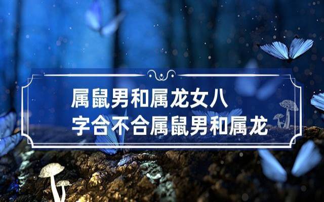 生肖男龙和生肖女兔的爱情 生肖男龙和生肖女兔的爱情