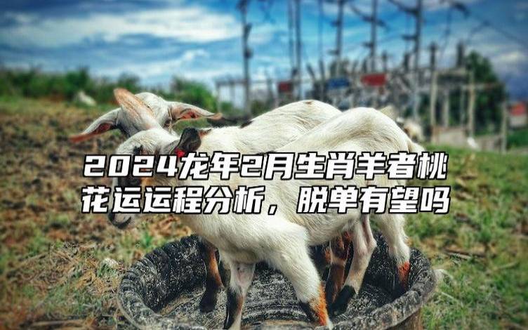 属羊人2024年3月运势