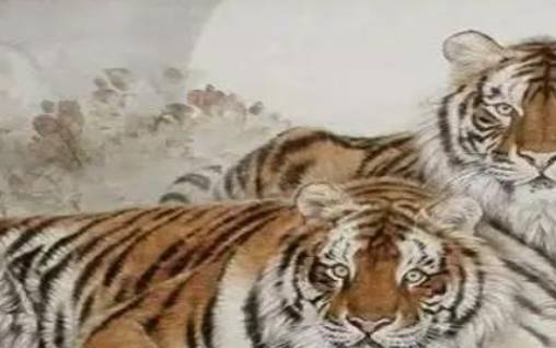 86年属虎38岁走大运,86年属虎人2024年运势 86年属虎38岁走大运,86年属虎人2024年运势