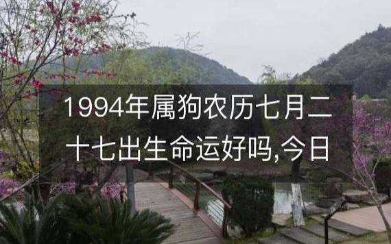 1994年属什么生肖，94属狗的哪年运势最差