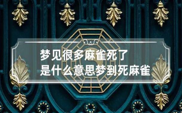 梦见自己逮了一只麻雀 梦见自己逮了一只麻雀