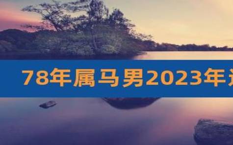 66年马男2024年运势完整版 66年马男2024年运势完整版