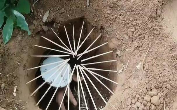 梦见亲人失踪,周公解梦之梦到亲人失踪 梦见亲人失踪,周公解梦之梦到亲人失踪