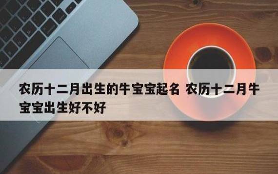 2021年12月26日出生的女宝宝八字详解,牛宝宝起名 2021年12月26日出生的女宝宝八字详解,牛宝宝起名