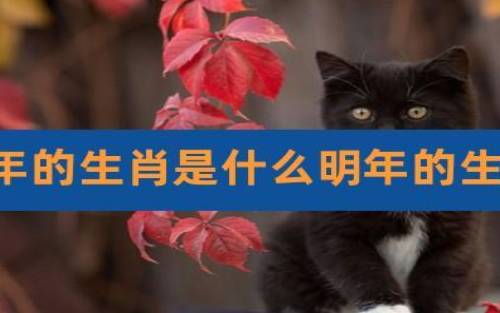 梦见生肖蛇的预示意义
