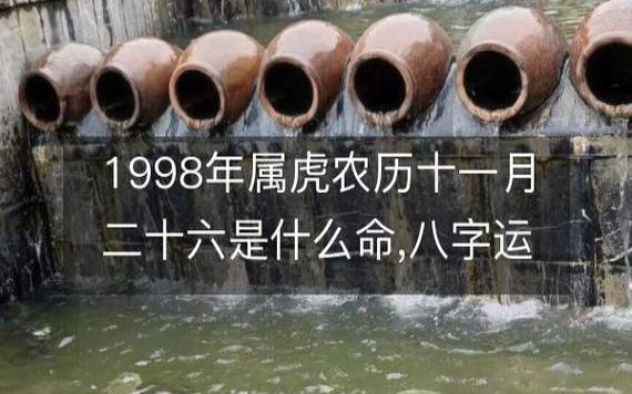己丑日柱男命运 己丑日柱男命运