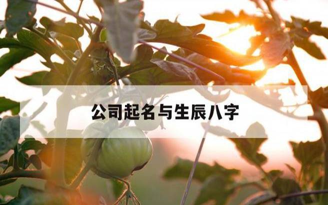 2021年7月29日出生的男孩八字五行,参考八字起名 2021年7月29日出生的男孩八字五行,参考八字起名