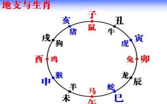十二地支顺口溜