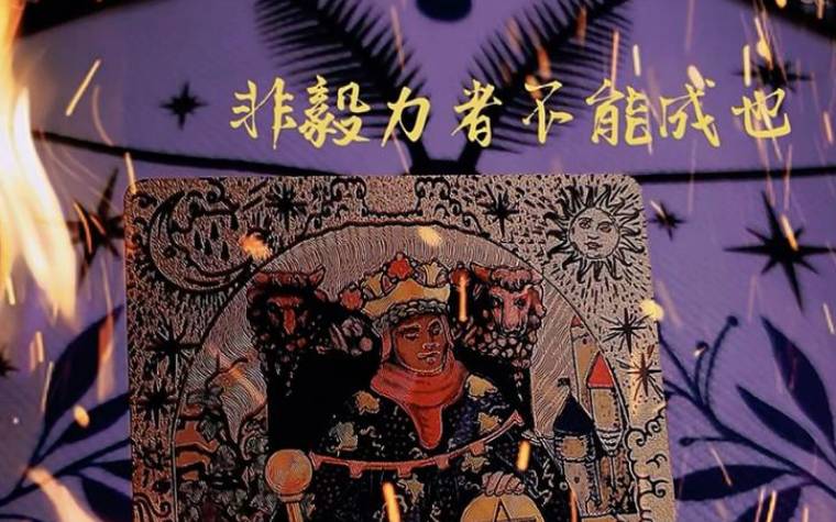 星币8正位的含义是什么，星币8正位代表什么意思