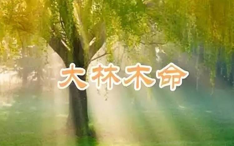 大林木蛇福气之蛇一生运势 大林木蛇福气之蛇一生运势