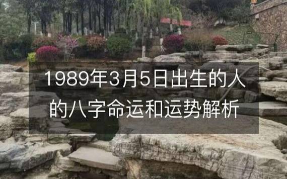 88年大林木和87炉中火相克吗 88年大林木和87炉中火相克吗