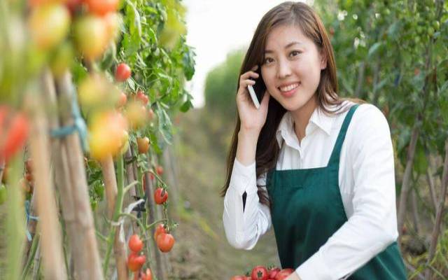 属鸡人性格和脾气女 属鸡人性格和脾气女