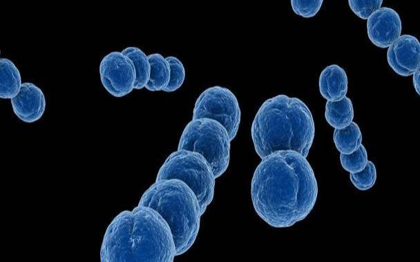 姓微生的名人 姓微生的名人