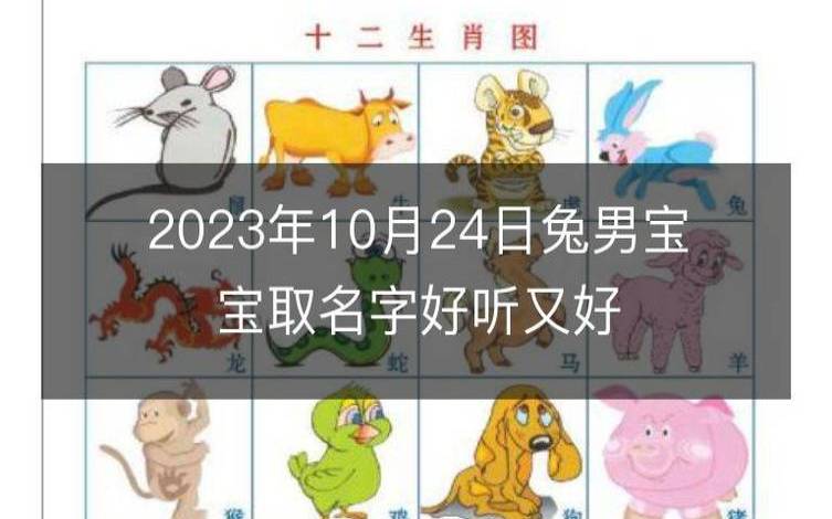 2023兔年宝宝免费取名字大全,好听的兔宝宝名字 2023兔年宝宝免费取名字大全,好听的兔宝宝名字