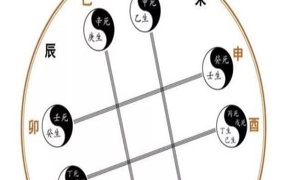 详解八字地支的相合 详解八字地支的相合