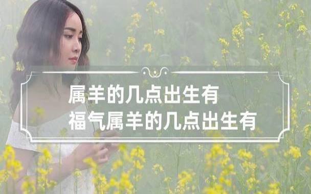 酉时的属羊人的命运如何