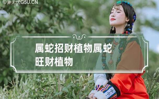 属蛇几月出生大富大贵，揭秘农历几月的蛇最好