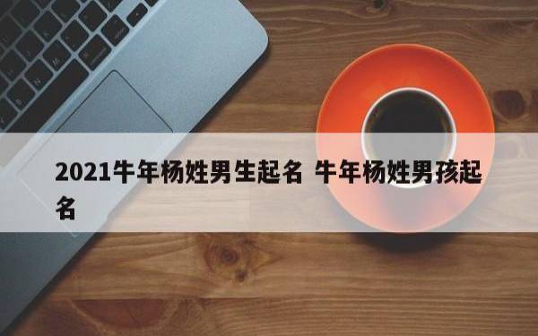 杨姓男孩取名方法 杨姓男孩取名方法