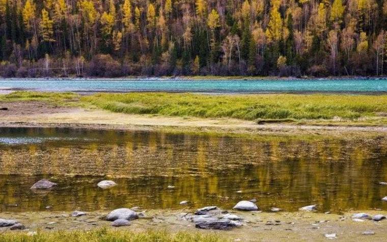 2024年11月生肖运势,属牛的十一月运程全面分解 2024年11月生肖运势,属牛的十一月运程全面分解