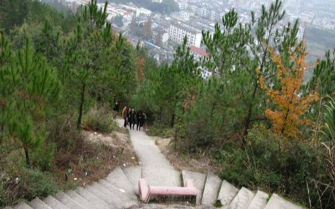 钗钏金适合做什么行业