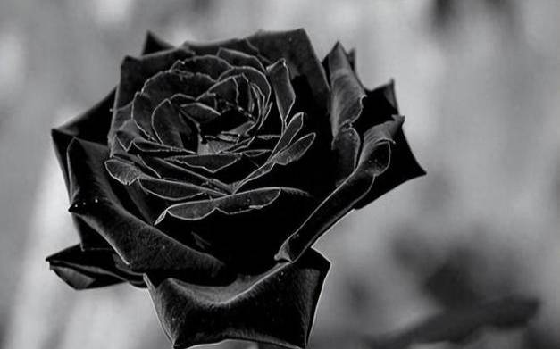 测你婚前还要经历多少劫难