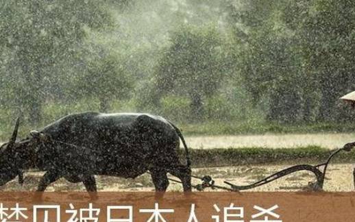梦见头被人打的流血 梦见头被人打的流血